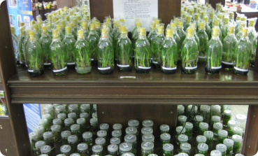 PTC Blog Post&nbsp;1