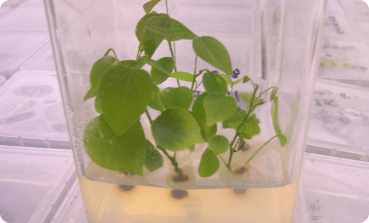 PTC Blog Post&nbsp;2